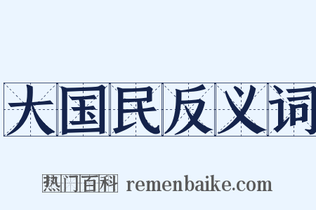 大国民反义词是什么意思的图片